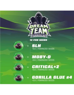 Dream Team Feminized Mix 2