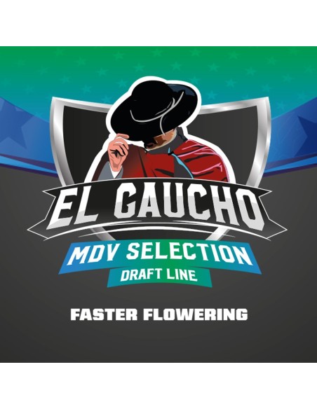 El Gaucho Fast Version