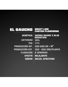 El Gaucho Fast Version 2