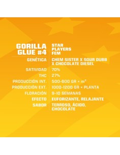 Gorilla Glue 4 (GG4) 2