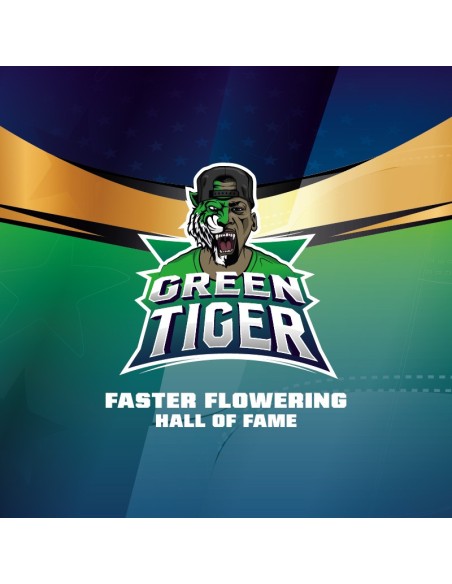 Green Tiger Fast Version