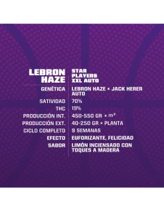 Lebron Haze XXL Auto 2