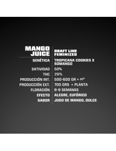 Mango Juice 2
