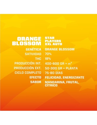 Orange Blossom Auto