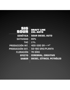 Sig Sour XXL Auto 2