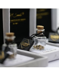 Underdawg X BC X SBC 2