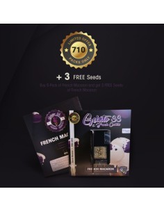 French Macaron SPECIAL PACK 2