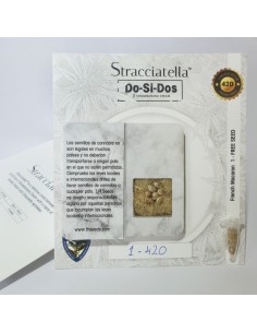 Stracciatella Do-Si-Dos X SBC SPECIAL PACK 2