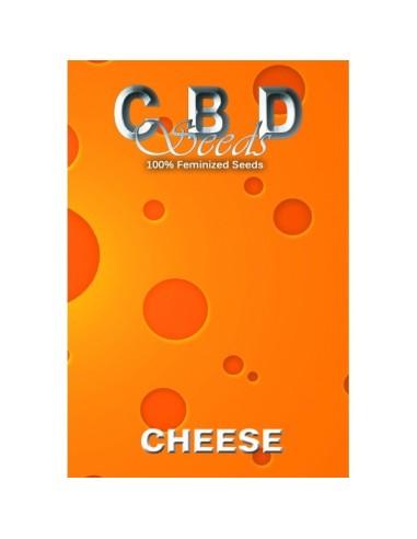 Cheese von CBD Seeds Hanfsamen | Oaseeds