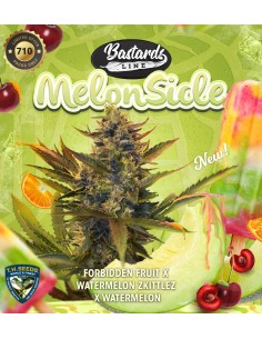 Melonsicle SPECIAL PACK