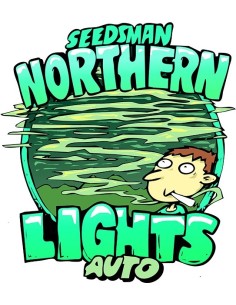 Northern Lights Auto 2