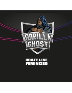 Gorilla Ghost 2