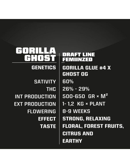 Gorilla Ghost