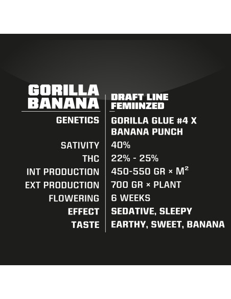 Gorilla Banana