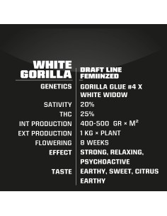 White Gorilla 2