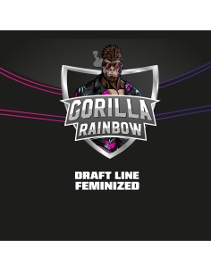 Gorilla Rainbow 2