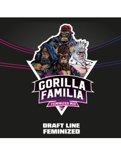 Gorilla Family 2