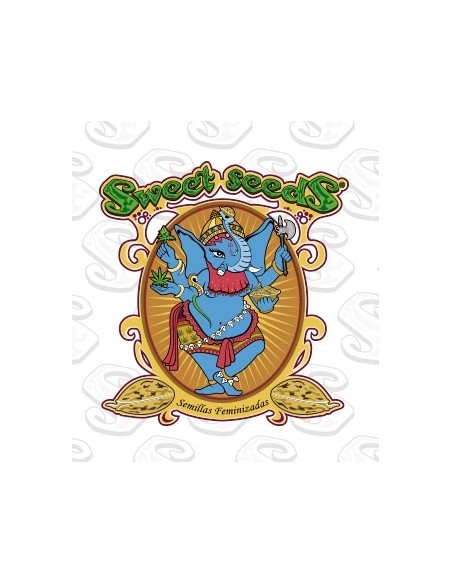 Free Seed for each Packet of Sweet Seeds