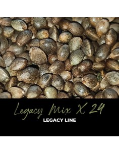 Legacy Mix X24