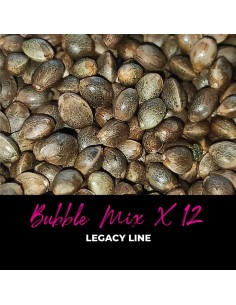 Bubble Mix X12