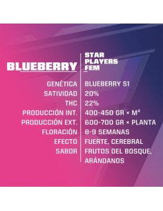 Blueberry 2