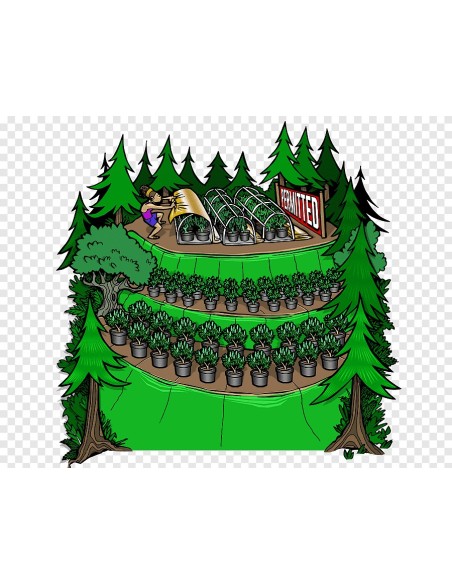 FREE Royal Limez - Emerald Mountain (REG)