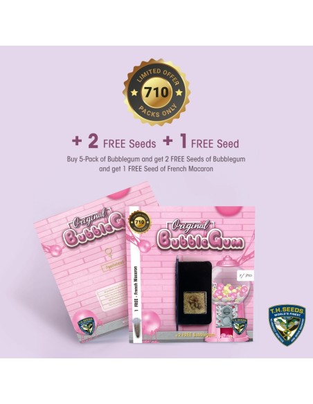 2 FREE Bubblegum and 1 FREE French Macaron