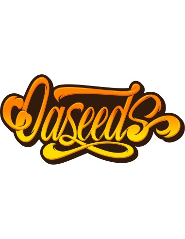 Blue Cheese OASEEDS - 50 seeds