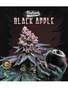 Black Apple Hitchcock 710 Special Pack