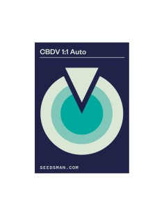 Auto CBDV 1:1