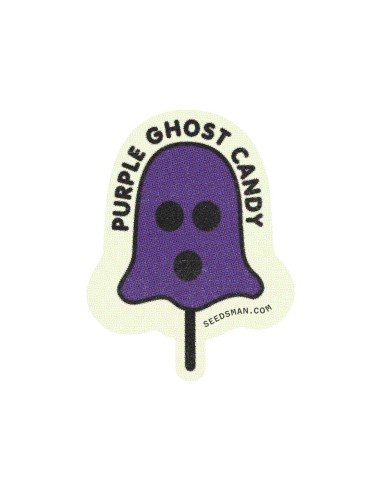 Purple Ghost Candy (Seedsman) Semillas Feminizadas