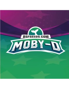 Moby D