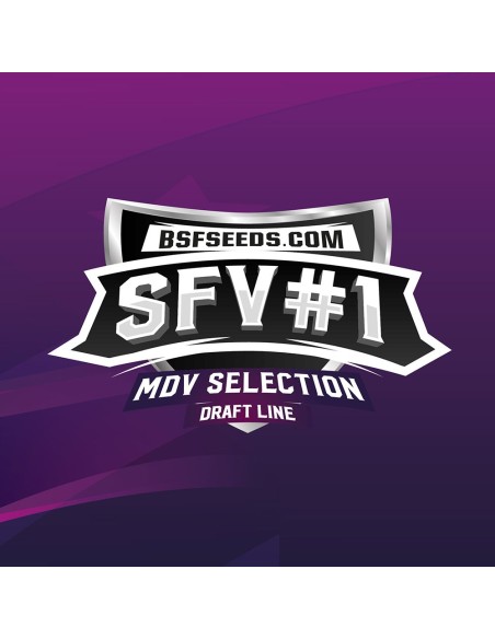 SFV 1