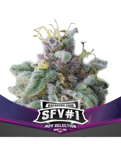 SFV 1 2