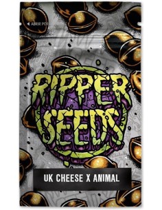 UK Cheese x Animal Cookies