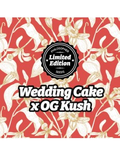Wedding Cake x OG Kush