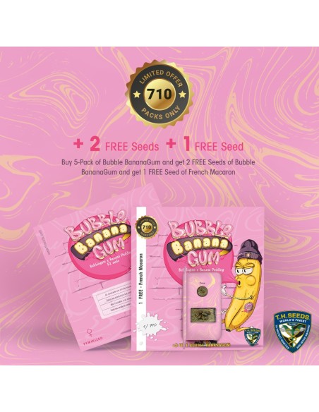 BubbleBananaGum 710 Special Pack