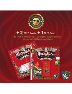 WaterMelon Ultra 2