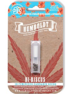 Hi-Biscus 2