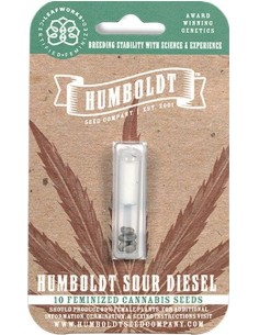 Humboldt Sour Diesel 2