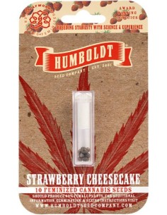 Strawberry Cheesecake 2