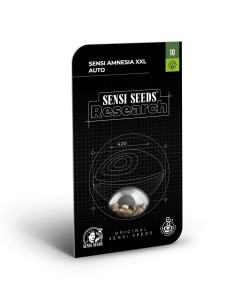 Sensi Amnesia XXL Auto 2