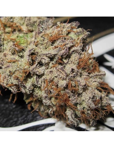 Super Silver Mandarin