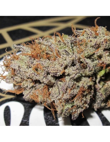 Super Silver Mandarin