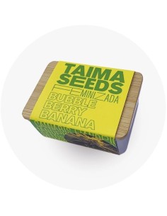 Bubble Berry Banana 2