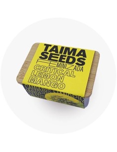 Critical Lemon Mango 2