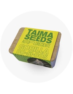 Gorilla Do-Si-Dos Auto 2