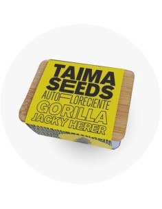 Gorilla Jacky Herer Auto 2