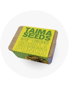 Gorilla Punch Auto 2