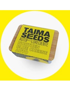 Northern Blue Cheese Auto 2